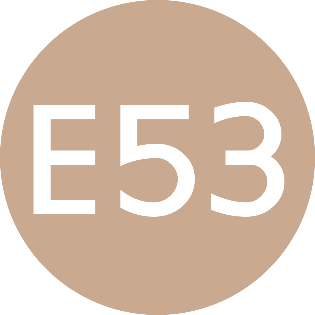 E53